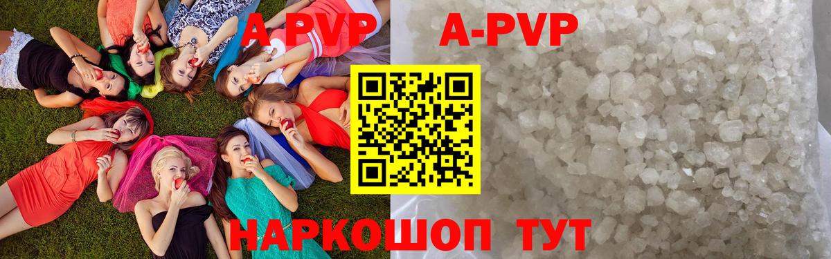 A-PVP СК Коряжма