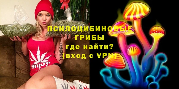 COCAINE Медвежьегорск