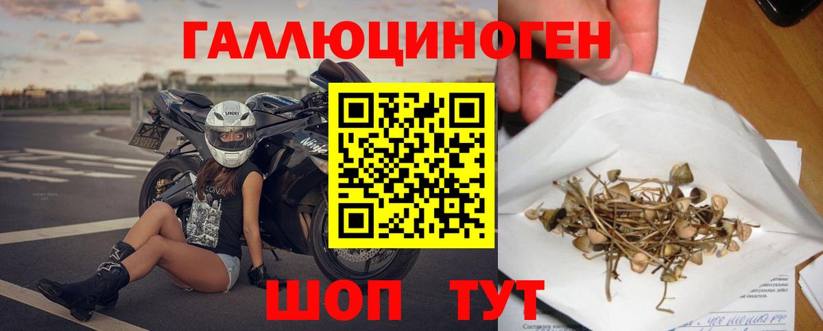 Гашиш Коряжма